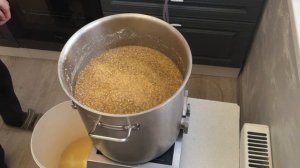 Осахаривание кукурузы солодом часть первая