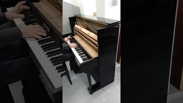 Démonstration piano HOLSTEIN par RG смотреть онлайн