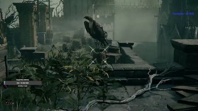 Elder Ring адское горение (3 часть) смотреть онлайн