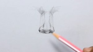 Pencil Sketch of Human Body Parts / Nose