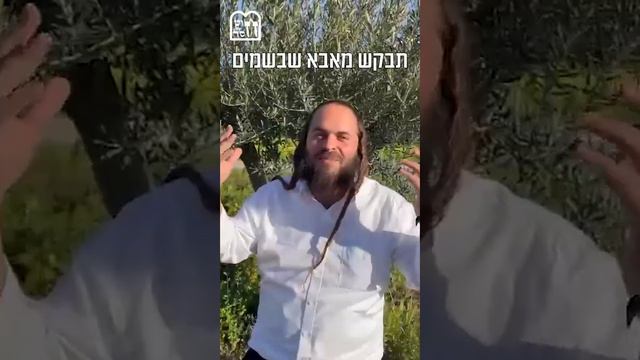 לא כל יום פורים! צריך לנצל הזדמנויות- כל הפושט יד נותנים לו | הרב יוסף חיים סיטבון