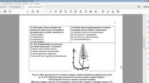 Муниципальный этап 2021-2022 уч.г. Биология. 7 класс. Разбор заданий