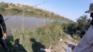 ВОТ ЭТО КЛЕВ! ГОЛОДНЫЕ ДИКИЕ САЗАНЫ К6 РЫБАЛКА В ДАГЕСТАНЕ  РЫБАЛКА В ЧЕЧНЕ