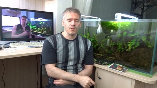 #5 Коричневый налет. Как я поборол диатомовые (бурые) водоросли