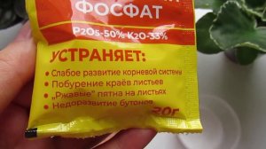 Чем подкормить фиалки/ Удобрения для роста и цветения!