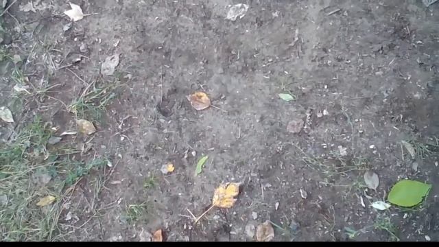 Что делать если училка отобрала телефон на уроке смотреть онлайн