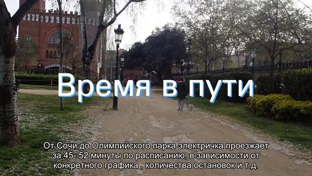 Об электричке Сочи — Олимпийский парк: как доехать от ЖД вокзала, расписание