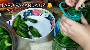 BODRING TUZLAYMIZ BIR TAYORLAB KōRIN MAZSIGA GAР YОQ 👍 /МАРИНОВАННЫЕ ОГУРЦОВ ОЧЕНЬ ВКУСНЫЙ 😋