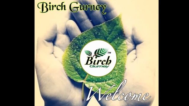 Aphelandra Squarrosa Care | Aphelandra Squarrosa Tips & Tricks | Aphelandra Squarrosa Plant | смотреть онлайн