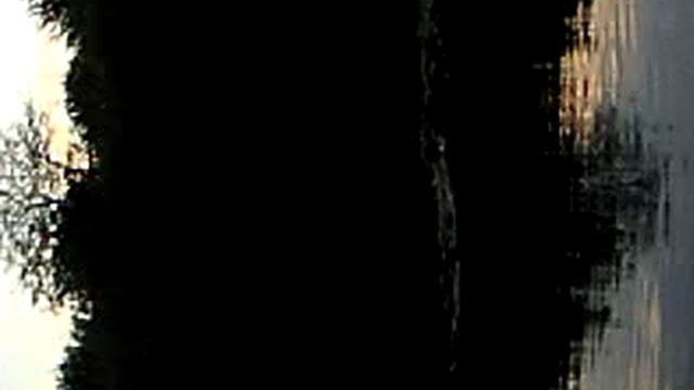 video0015 смотреть онлайн