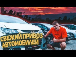 Привезли самый безопасный автомобиль Японии‼️ Свежий привоз автомобилей ? Долгов авто   DOLGOV AUTO