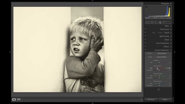 Обработка черно-белой фотографии