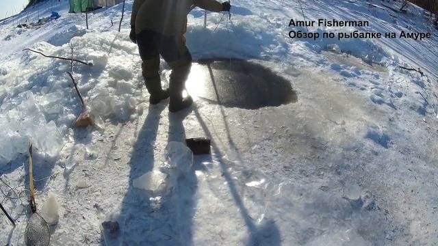 ЛЮТАЯ РЫБАЛКА НА АМУРЕ! РЫБУ ЧЕРПАЕМ ВЕДРАМИ! ТАКУЮ РЫБАЛКУ ТЫ ТОЧНО НЕ ВИДЕЛ!