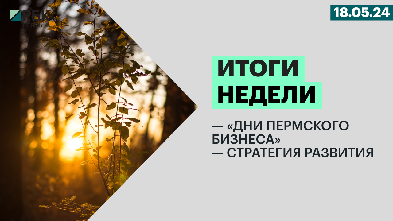 «Дни пермского бизнеса» | Стратегия развития