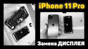 iPhone 11 Pro - Замена ДИСПЛЕЯ