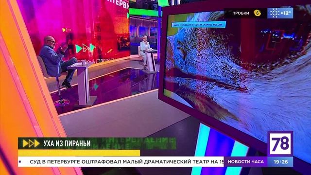 Программа «Интервидение». Эфир от 18.05.23