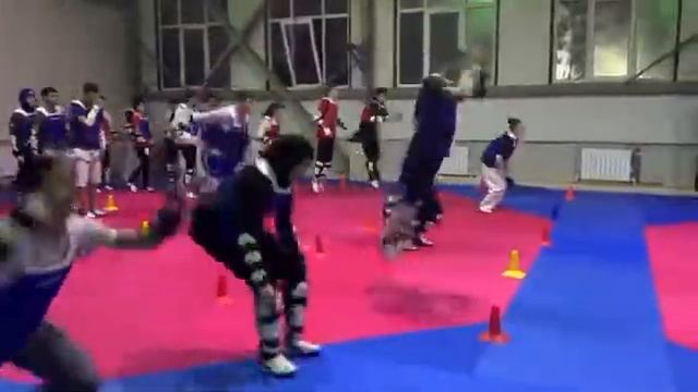 Обучение Тхэквондо ВТ смотреть онлайн