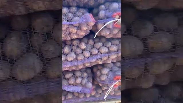 картофель сорт Гала смотреть онлайн