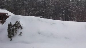 Как приготовить Рипуса в духовке