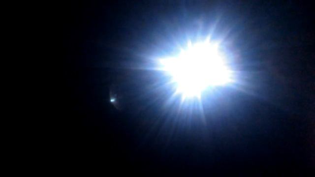 Просвечивание яиц и необычный подарок от продавщицы зоомагазина. смотреть онлайн