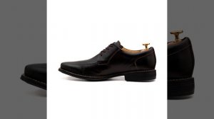 SANDRO MOSCOLONI BELMONT BLACK LEATHER DERBY