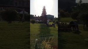 🇹🇷 Сиде, Отель,, Palm World Resort & SPA, сентябрь 29°С