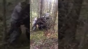 Медведь на квадроцикле