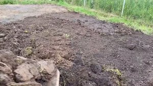 17.07.20. Дальше снимаем плодородный слой. Готовим площадку под фундамент.
