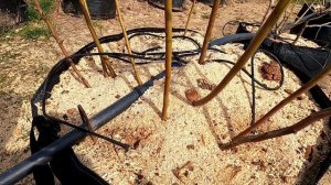 Все о поливе голубики