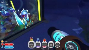 Slime Rancher #2