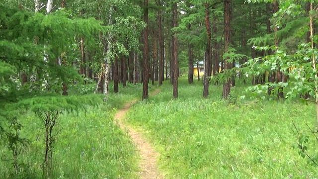 Национальный парк "Алханай", Забайкальский край смотреть онлайн