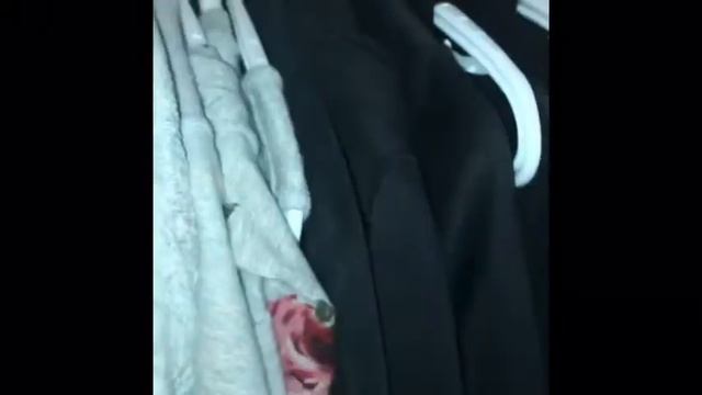 My rats pick my outfit for a week/part 2/5 featuring Indigo смотреть онлайн