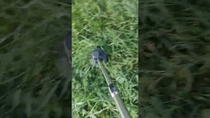 Триммер на аккумуляторах очень удобно советую #тример #aliexpress