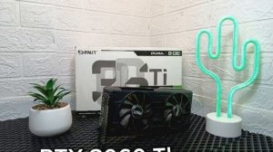 Cactus _shop магазин кактус