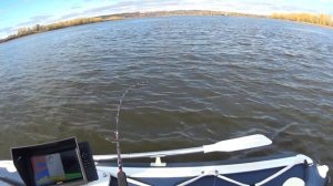 р.Кама. Ловля рыбы троллингом.