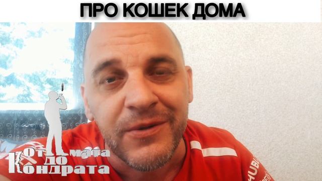 ПРО КОШЕК ДОМА смотреть онлайн