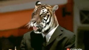 Anuncios Citroen Octubre 2006 -  Marzo 2010