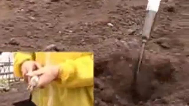 Плоскорез Фомич смотреть онлайн