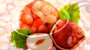 ЛЕСНОЙ ОРЕХ ПОЛЬЗА | фундук польза и вред, чем полезен фундук