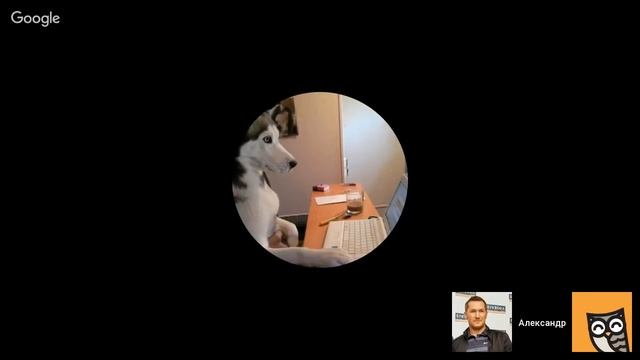 Вебинар: "Разбор ВАШЕГО бизнеса онлайн" смотреть онлайн