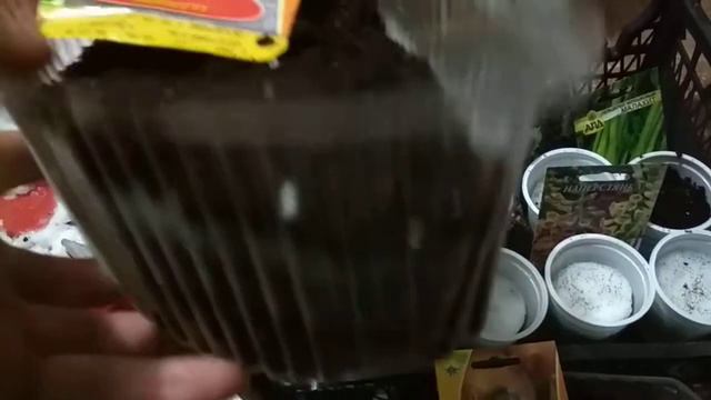 Посев петунии, лука и т.д. смотреть онлайн