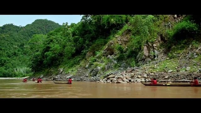 Зеленый ад смотреть онлайн