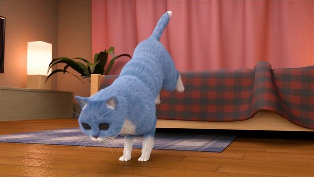 Реклама кошачьего корма Funny Kitty смотреть онлайн