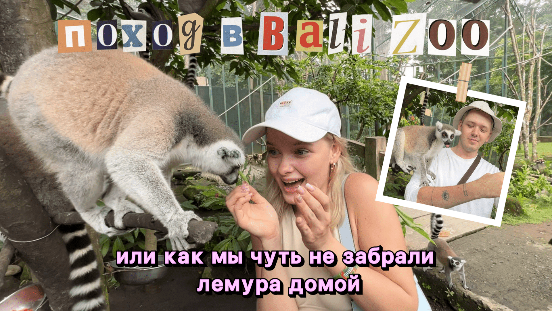 НАПАДЕНИЕ ЛЕМУРА или ПОХОД В ЗООПАРК