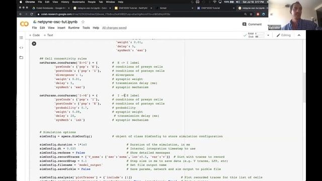 NetPyNE Tutorial 5: Using Python terminal in GUI смотреть онлайн
