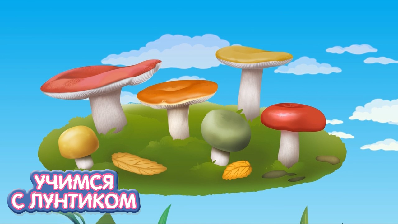 Учимся с Лунтиком | Раскраска грибы