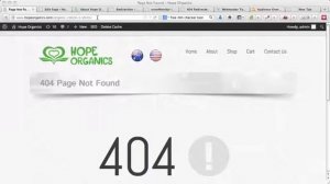 What is Error 404, What is a 404 Error Page: SEO Training Part 1 Step 2a