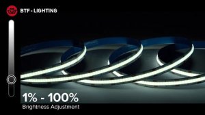 BTF-LIGHTING: FCOB CCT LED Strip Light Deateils, What is difference between COB and SMD