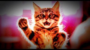 песня: близке люди