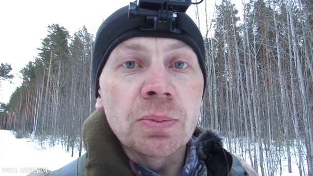 НАШЁЛ ГЛУХАРИНЫЙ ТОК. Заветная песня глухаря смотреть онлайн